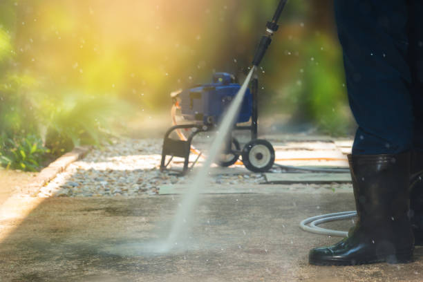 Best Soft Washing for Delicate Surfaces in Chesnut Hill, PA